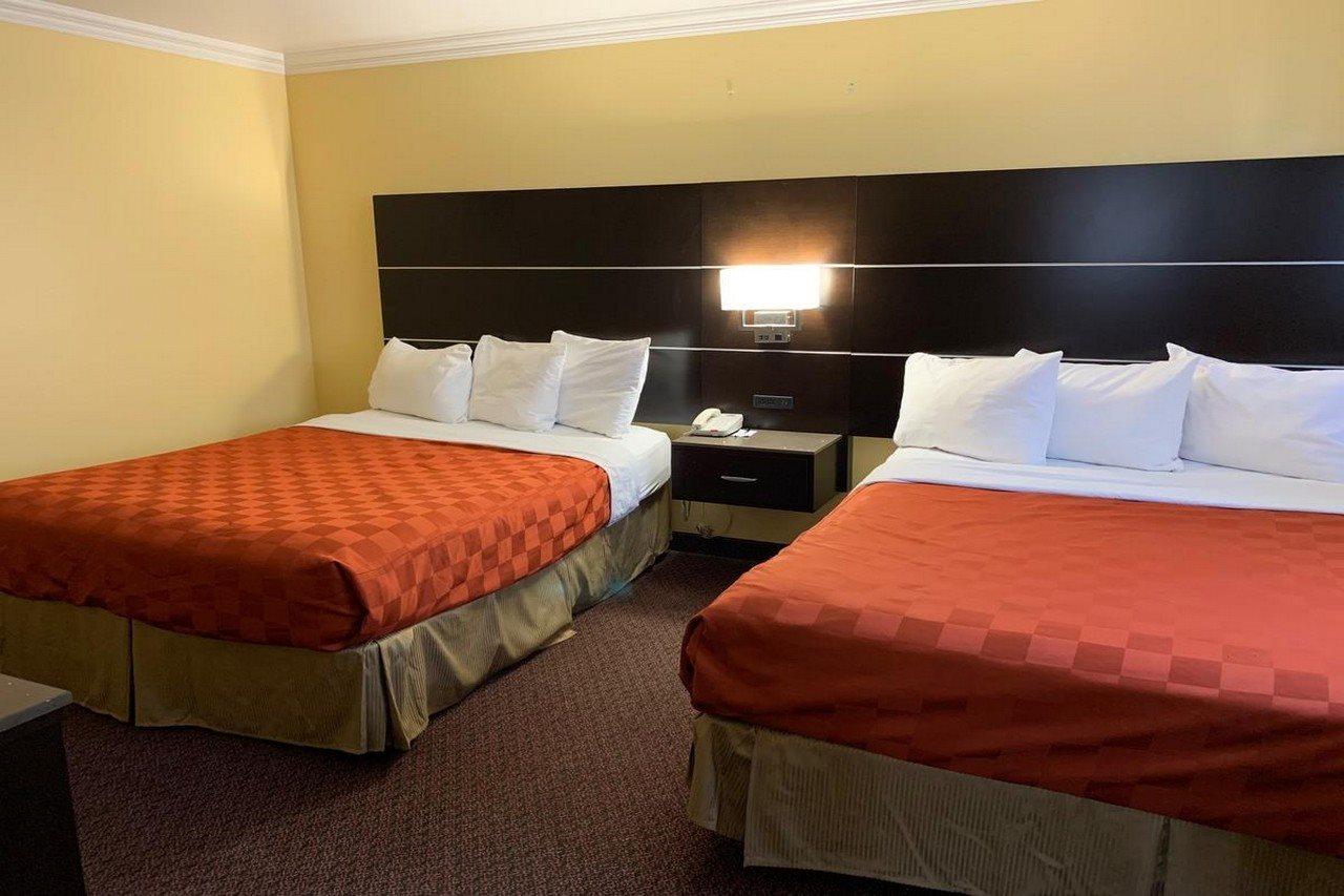 Hotel Olive Tree &
