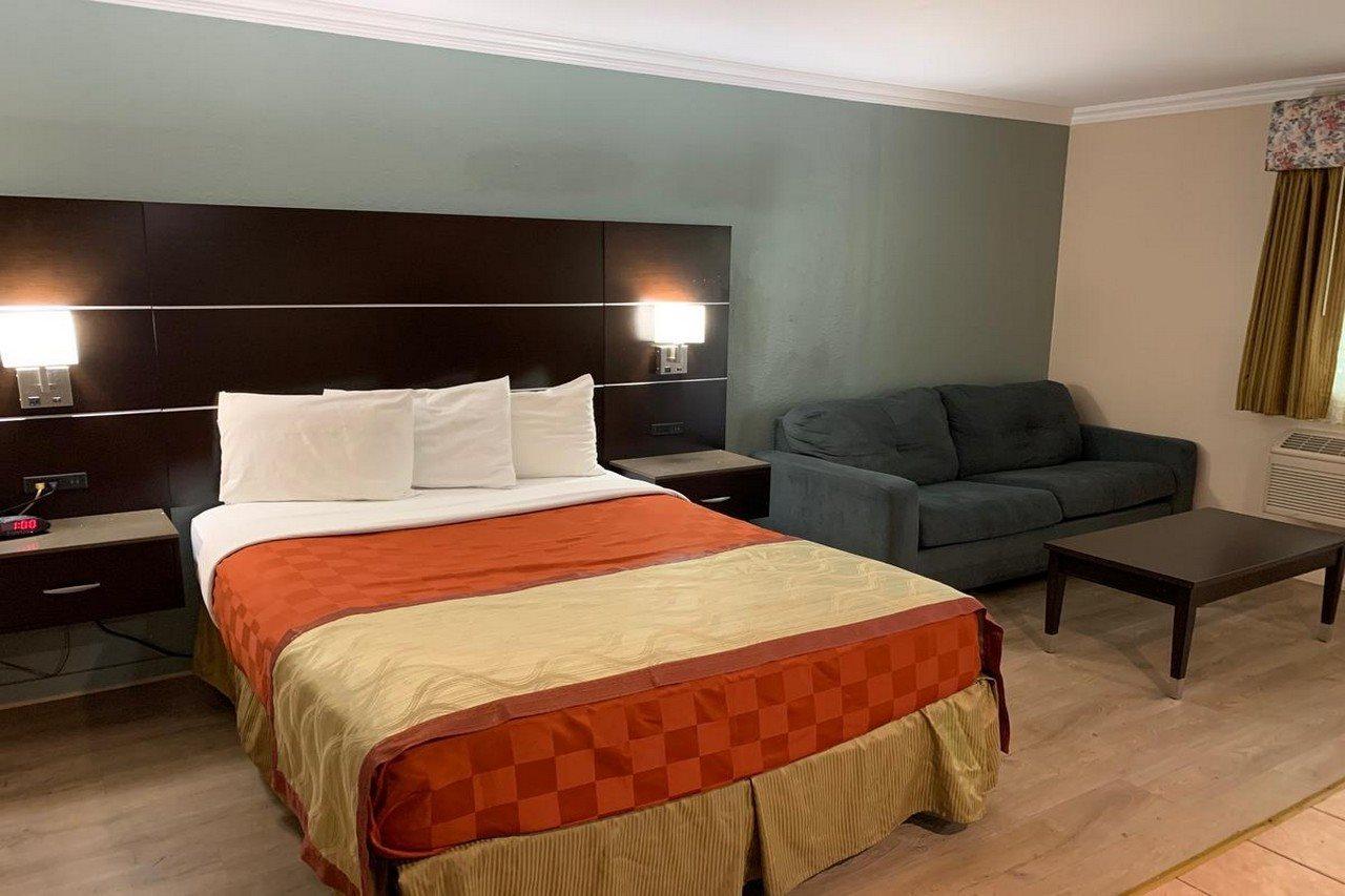 Olive Tree & Hotel