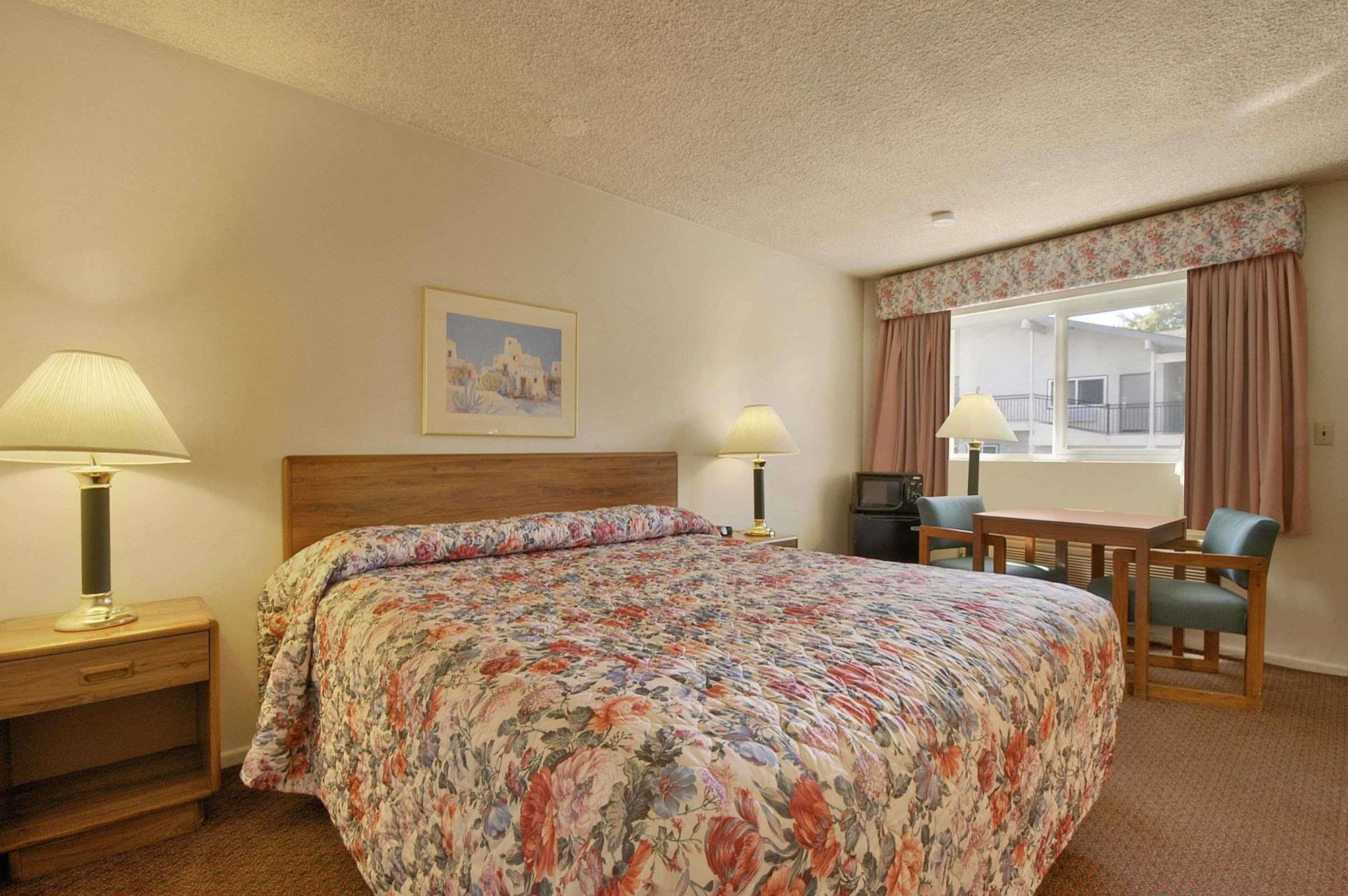 Hotel Olive Tree &