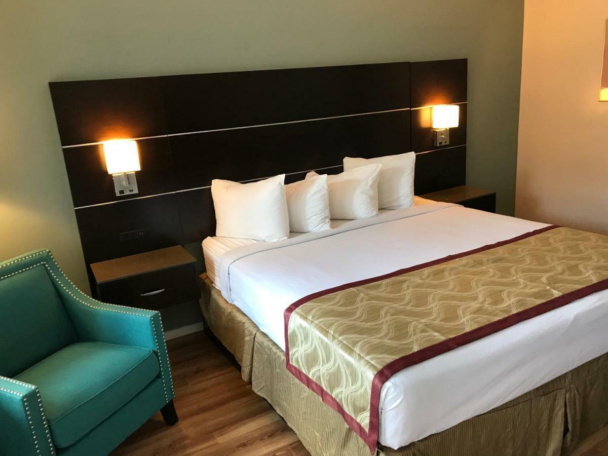 Hotel Olive Tree & 3*