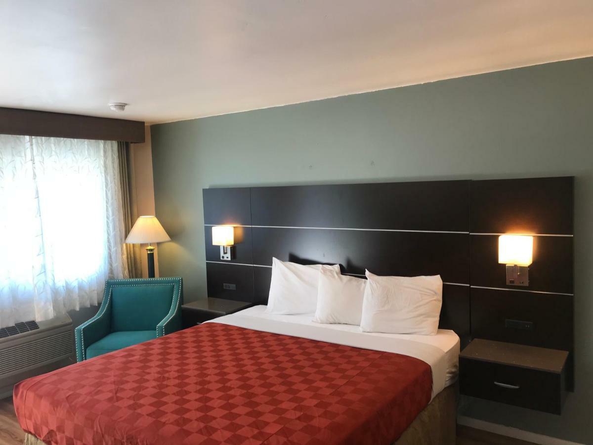 Olive Tree & Hotel 3*
