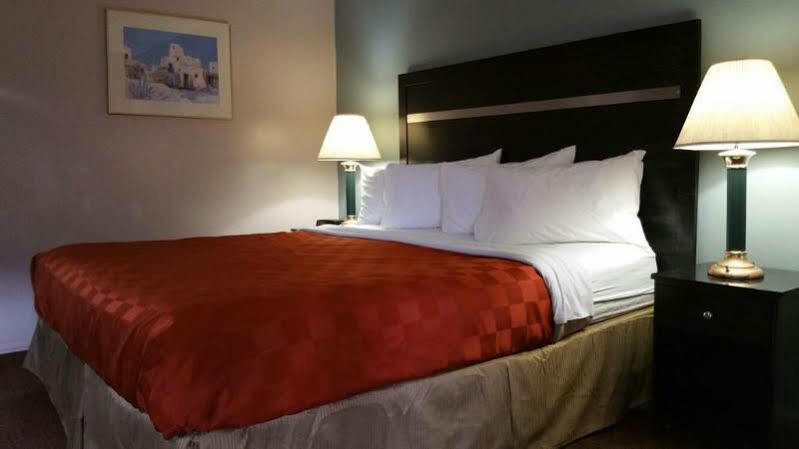 Olive Tree & Hotel