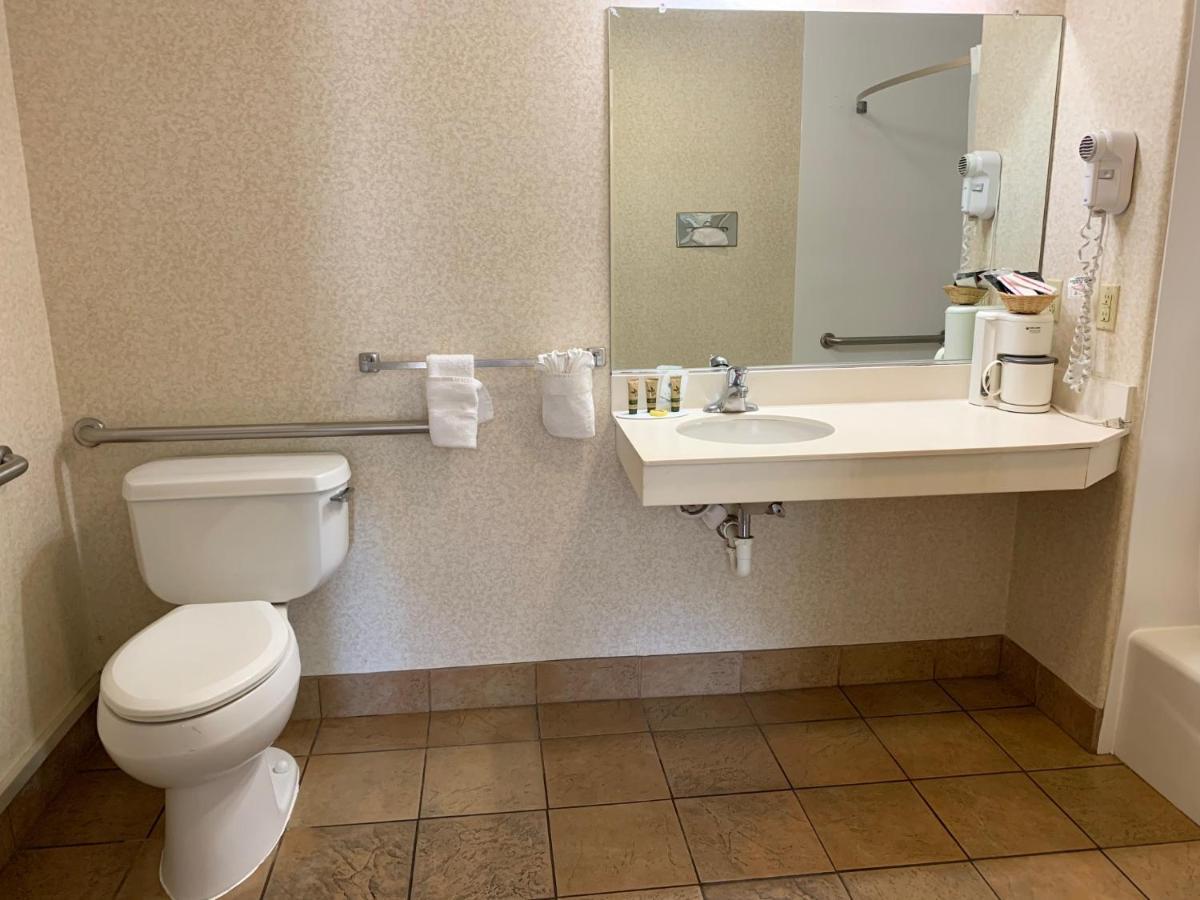 Olive Tree & 3* San Luis Obispo