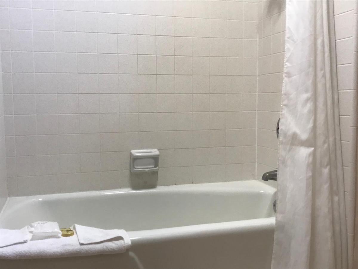 Hotel Olive Tree &