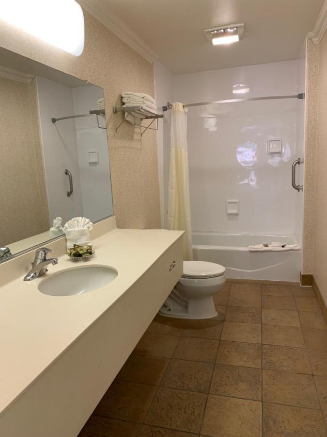 Olive Tree & 3* San Luis Obispo